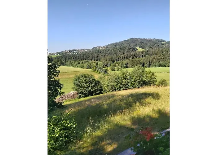 Апартаменты Gemuetliche Mit Balkon & Herrlichem Ausblick *